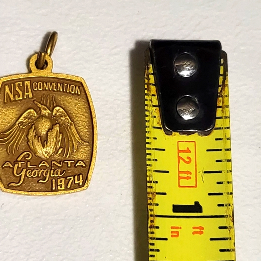 Vintage 1974 Goldtone Atlanta Georgia‎ NSA Professional Pin - Picture 2 of 3
